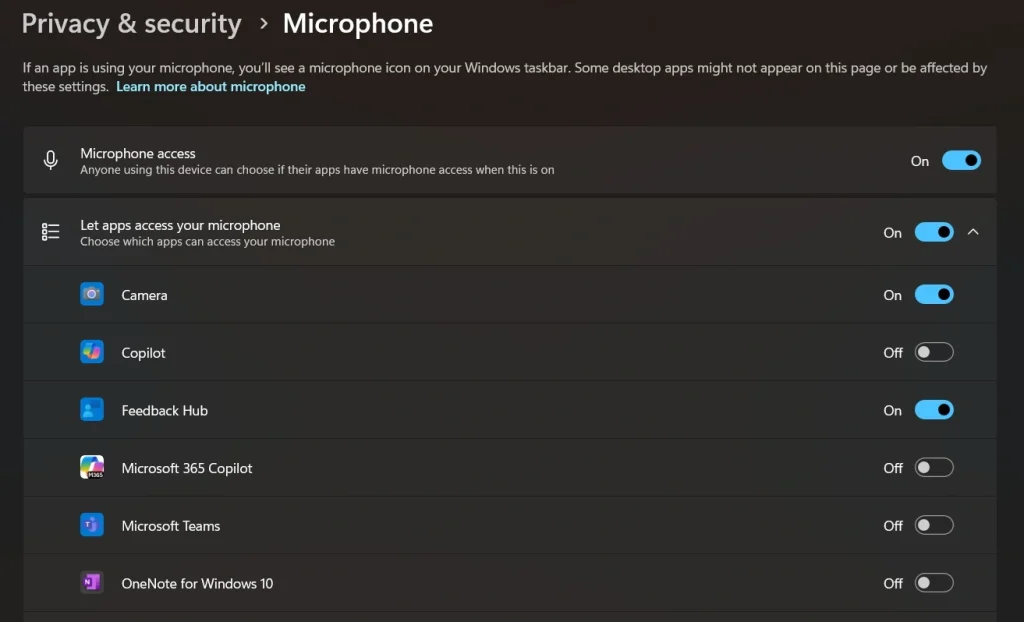 microphone permission settings